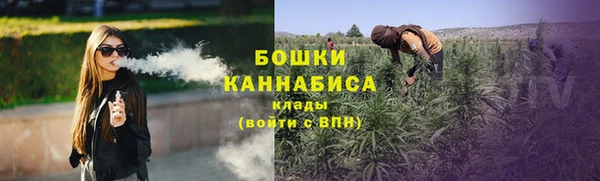 mix Ельня