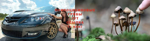 не бодяженный Елабуга