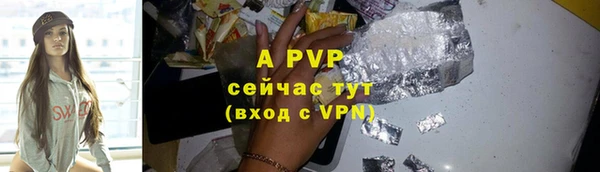 прущие крисы Елизово
