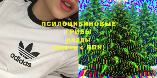 не бодяженный Елабуга