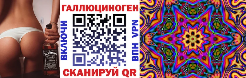 Галлюциногенные грибы Psilocybine cubensis  Няндома 